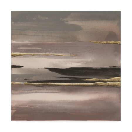 Trademark Fine Art Chris Paschke 'Gilded Morning Fog Ii' Canvas Art, 35x35 WAP05782-C3535GG